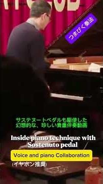あっと驚く奏法に挑戦。 (概要欄に説明あり) #shorts