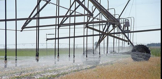 Farmers are depleting the Ogallala Aquifer because the government pays them to do it