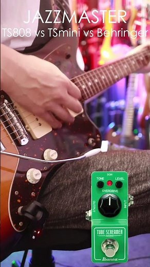 ジャズマスター/TS808 vs TS MINI vs Behringer #ts808 #tsmini #behringer #guitarpedals #jazzmaster