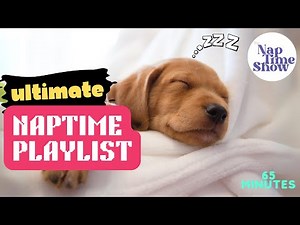 Magical Naptime Adventures: The Ultimate Collection of Soothing Shows and Songs for Toddlers