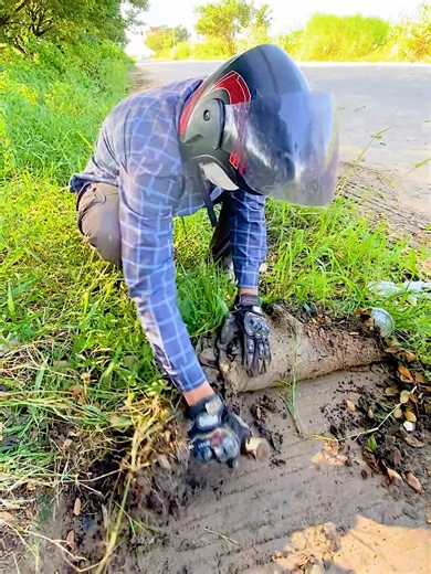 Extreme Sidewalk Cleanup: Satisfying Grass Removal