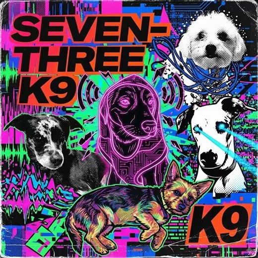 Supersonic K9 Beats 🎧⚡