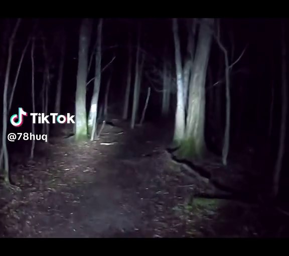 Scary Forest Nightwalk - Creepy and Dark Adventures