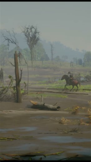 Relaxing Cowboy Scene #rdr2 #naturesounds