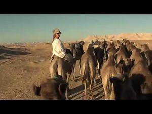 Camel rides through the Desert in Egypt.