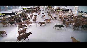 And that's why we're proud to be Canada's most on-time airline. | WestJet