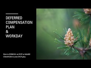 Workday & Deferred Compensation Plan 2022