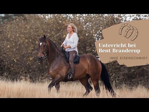 Unterricht in Akademischer Reitkunst bei Bent Branderup September 2017