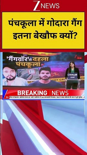 Panchkula Firing:पंचकूला में गोदारा गैंग इतना बेखौफ क्यों?