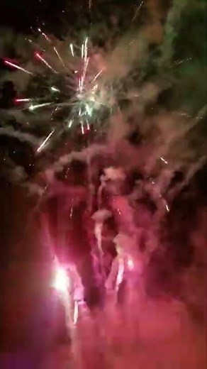 Monkey business 100 shot firework