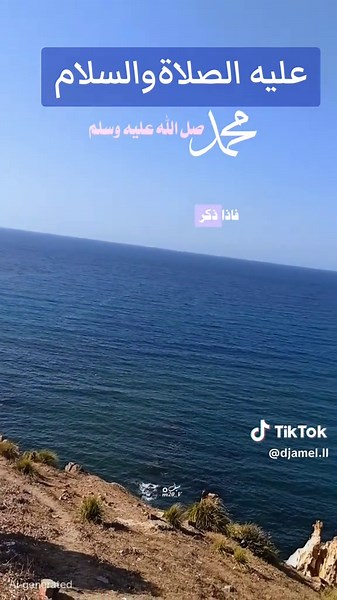 Djamel sur TikTok