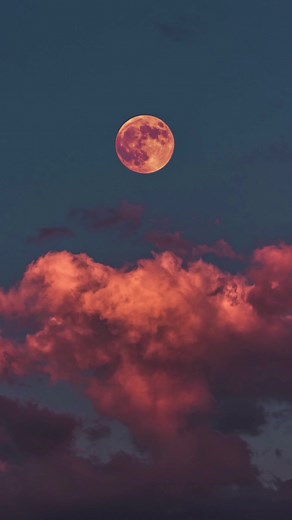 6 Aesthetic Backgrounds to Calm Your Phone