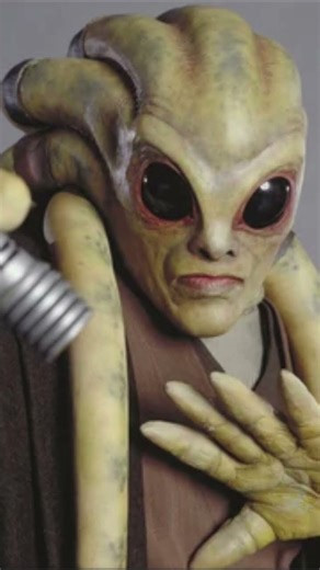 Kit fisto