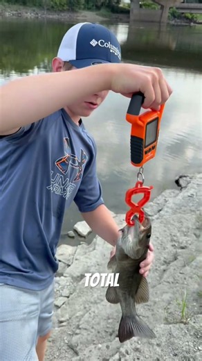 Catching every fish in Illinois part 10 #illinois #fishing #catchingfish