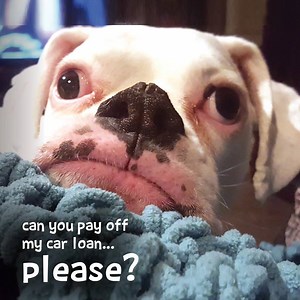 11K views · 16 reactions | Car Loan Payoff Contest: Enter to have...