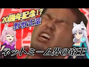 20周年記念！ネットミーム界の帝王「野獣先輩」は何故、今も認知されているのか【野獣の日】