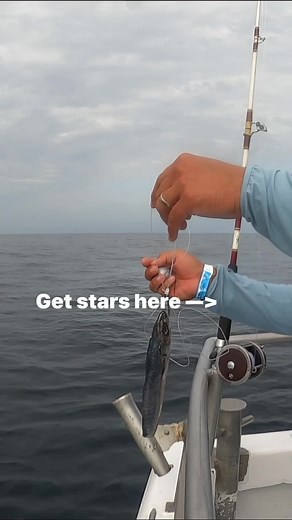 14K views · 409 reactions | Big bait for tasty fish! #fishing #offshorefishing #redsnapper | Bearded Brad | Facebook