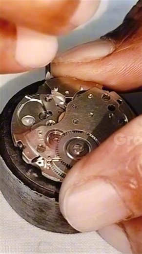 Seiko 5 Automatic watch movement service #watchrepair #watchservice #growntimeservice