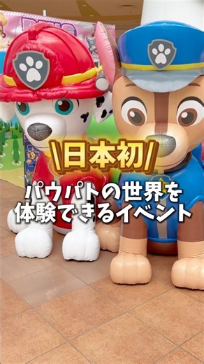 日本初のパウパトイベント📣✨