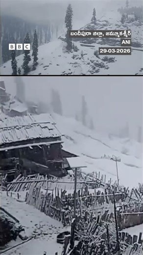 కప్పేసిన మంచుదుప్పటి #snowfall #shorts