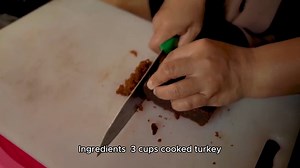 Turkey leftover recipe