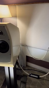 The Hegel room at the Bristol HiFi Show was sounding superb with their latest DAC and amplifiers playing with the beautiful Egglestonworks Nico EVOlution speakers 🔊❤️🙏🏻 | The Speaker Shack