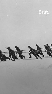 524K views · 1.6K shares | He wanted to be the first person to cross Antarctica, but nothing went according to plan. Raging seas, icy water... Survival became the crew’s sole objective. This is the incredible story of a failed expedition. | Brut nature | Facebook