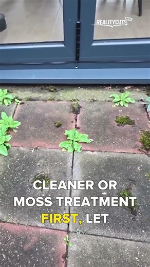 Right Way to Remove Moss from Patio Without Damage