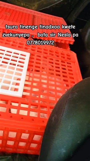 ...... basa sebasa !!!.. | Nesla Exquisite Agri-Farms