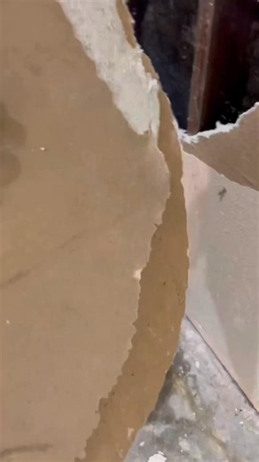 1.1K views | Mold Testing and Removal Los AngelesDo you think you...