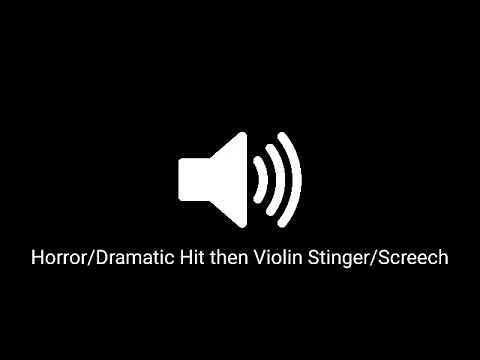 Horror/Dramatic Hit then Violin Stinger/Screech (Sound Effect)