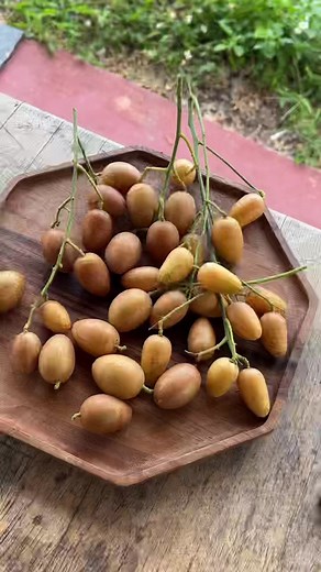 Have you ever heard of wampee? It’s scientifically called Clausena lan...