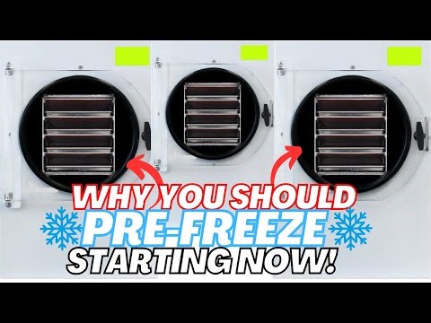 Why You Should Pre-Freeze BEFORE Freeze Drying!