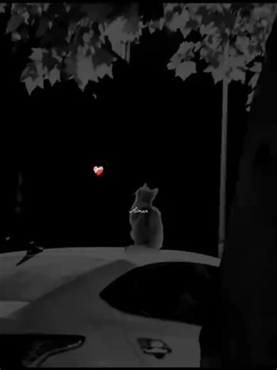 sajna vy azma na maino kaliya rataan ch...#grow #account #foryoupage #viral #whoam322#🥺💔🥀 #🥺😩💔😭🥀