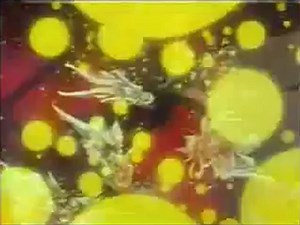 la tragica muerte de las sailors scouts