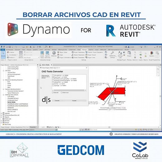 BORRAR ARCHIVOS CADS EN REVIT