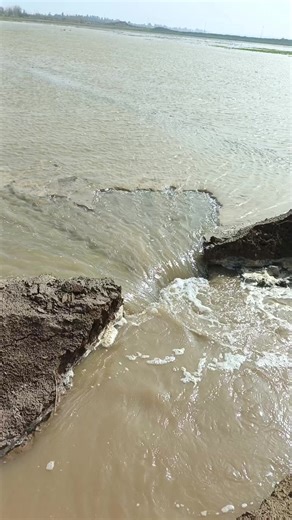 فلاحات مضحكة من الحياة اليومية للشعب الصيني