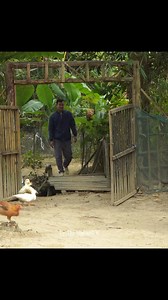 68K views · 924 reactions | Dung and Dau #Ep121 #fblifestyletyle #Poorbaby #singlemomlife #viralreels | Viral viral06 | Facebook