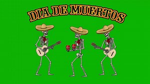 animated, mexican skeleton in sombrero with guitar with chroma key