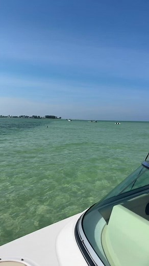 Passage Key snorkeling. Anna Maria Island, Longboat Key, Florida #passagekeydolphintours #annamariaisland #longboatkey #passagekey