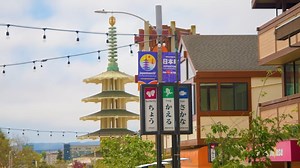 Business owners discuss how they are surviving and thriving in remaining Bay Area Japantowns