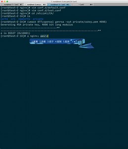 Nginx SSL配置https
