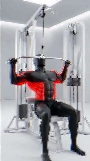 These 3 Exercises Will Transform Your Back Width