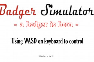 Badger Simulator