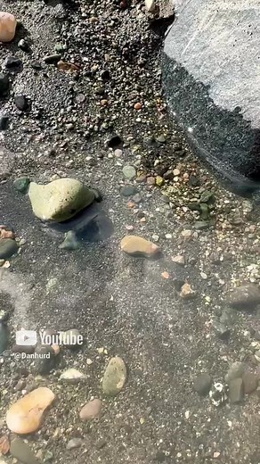 Finding Real Gold on a Black Sand Beach