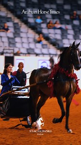 Pretty roses, pretty smiles, pretty horses - Stachowski Farm is collecting roses left and right at the Youth & Mid Summer Nationals 🌹 | Stachowski Farm