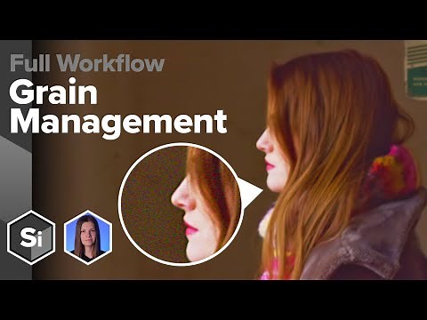 Grain Management in Silhouette 2023: DenoiserML, UltraGrain, Regrain