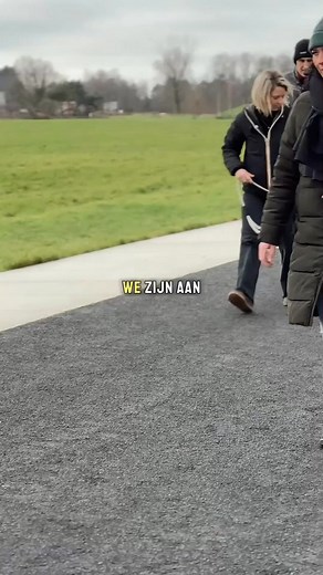 95K views · 290 reactions | Wandelen met een hond die de prikkels...