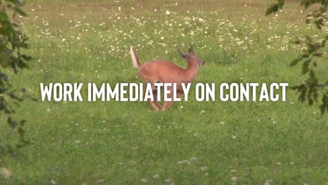 Deer Stopper, Liquid Animal Stopper Repellent, All Natural, Effective All Year Round, Safe for People and Pets, No Harsh Chemicals, Ready to Use, Deer & Moose Repellent - 35.2 oz. Pump Bottle