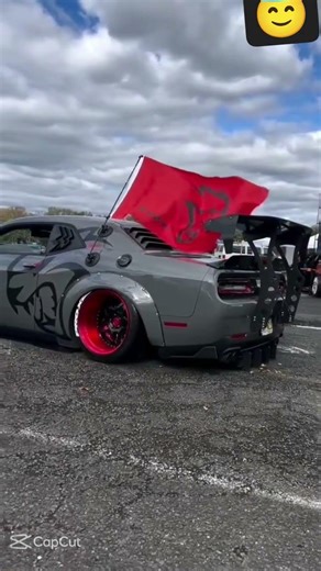 #doge in angry mode🫡👿👿😈😈